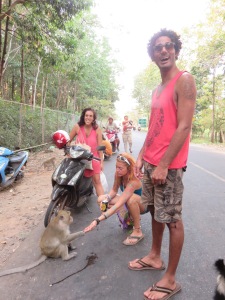 Monkey road